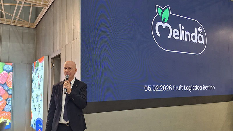 Andrea Fedrizzi, Marketing Director di Melinda